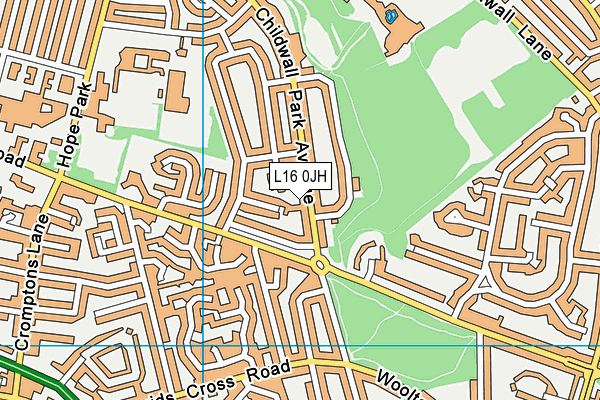 L16 0JH map - OS VectorMap District (Ordnance Survey)
