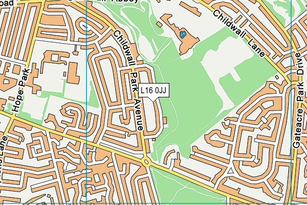 L16 0JJ map - OS VectorMap District (Ordnance Survey)