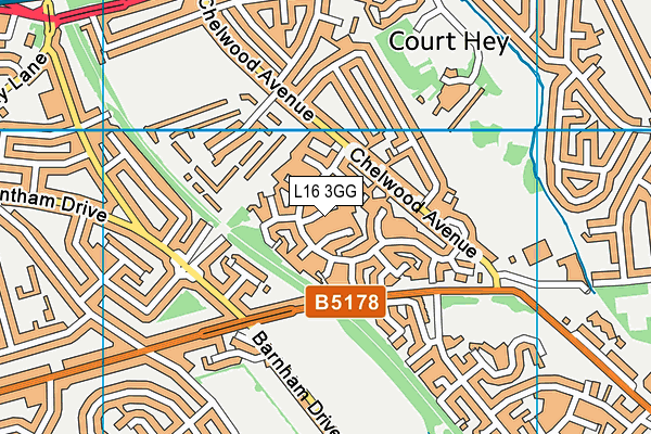 L16 3GG map - OS VectorMap District (Ordnance Survey)