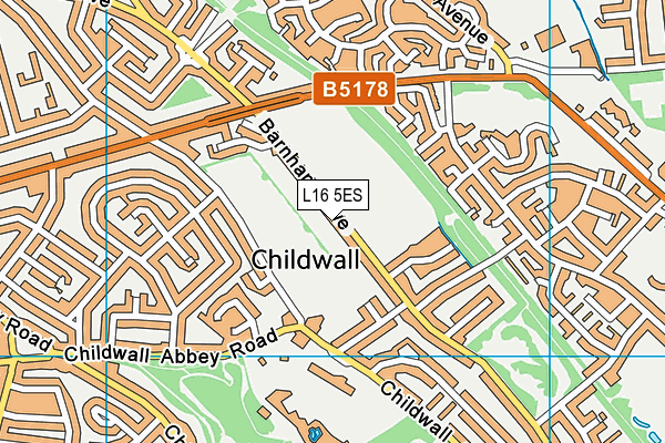 Barnham Drive Playing Fields map (L16 5ES) - OS VectorMap District (Ordnance Survey)