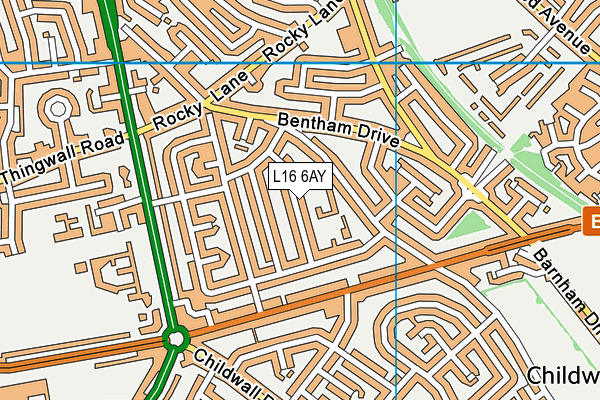 L16 6AY map - OS VectorMap District (Ordnance Survey)