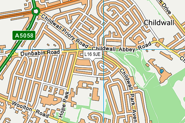 L16 9JE map - OS VectorMap District (Ordnance Survey)