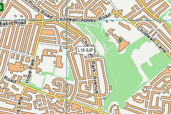 L16 9JP map - OS VectorMap District (Ordnance Survey)