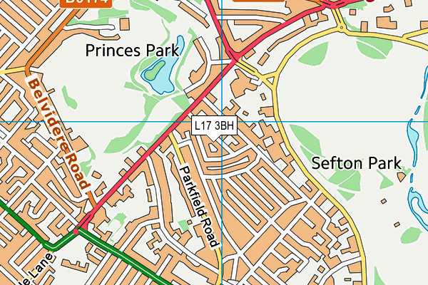 L17 3BH map - OS VectorMap District (Ordnance Survey)