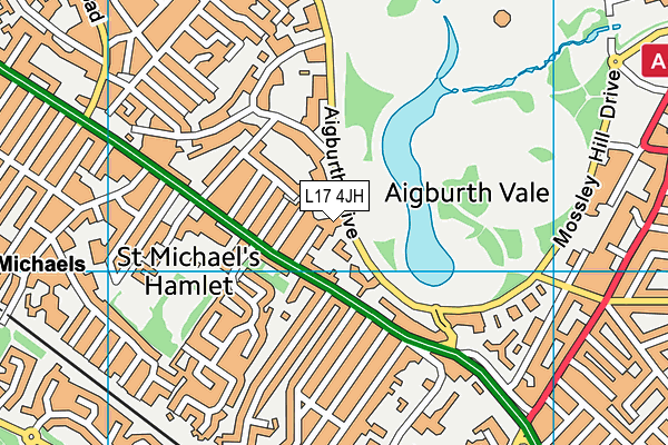 L17 4JH map - OS VectorMap District (Ordnance Survey)