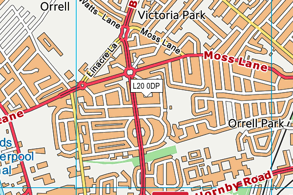 L20 0DP map - OS VectorMap District (Ordnance Survey)