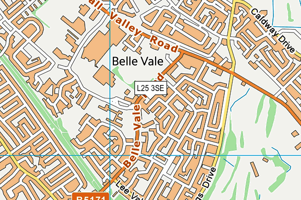 L25 3SE map - OS VectorMap District (Ordnance Survey)