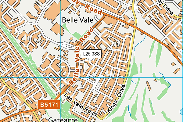 L25 3SS map - OS VectorMap District (Ordnance Survey)