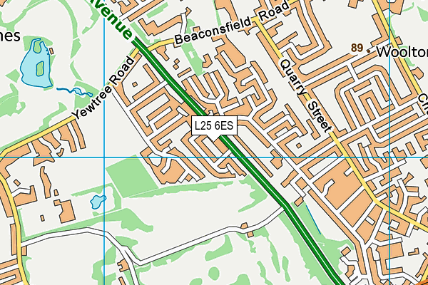 L25 6ES map - OS VectorMap District (Ordnance Survey)