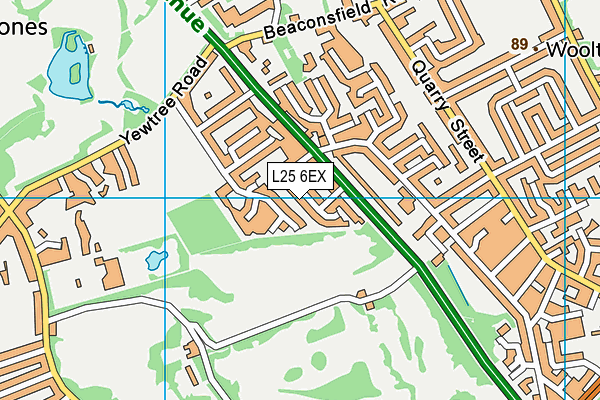 L25 6EX map - OS VectorMap District (Ordnance Survey)