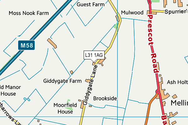 L31 1AG map - OS VectorMap District (Ordnance Survey)