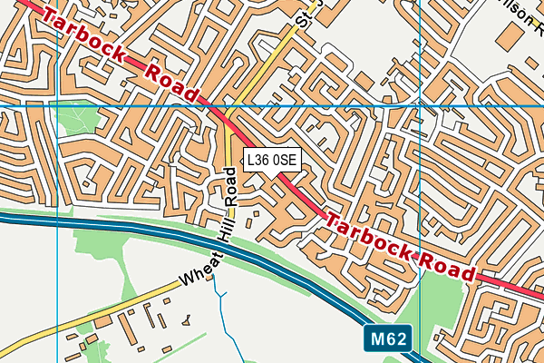 L36 0SE map - OS VectorMap District (Ordnance Survey)