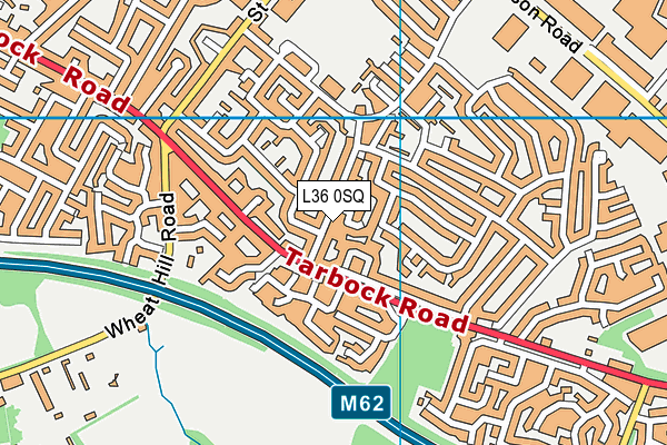 L36 0SQ map - OS VectorMap District (Ordnance Survey)