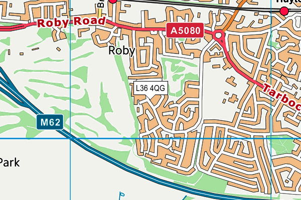 Twickenham Drive Playing Field map (L36 4QG) - OS VectorMap District (Ordnance Survey)