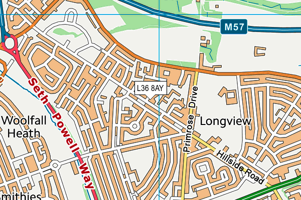 L36 8AY map - OS VectorMap District (Ordnance Survey)