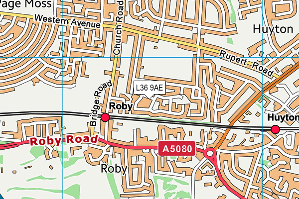 L36 9AE map - OS VectorMap District (Ordnance Survey)