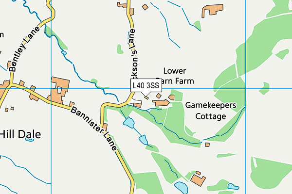 L40 3SS map - OS VectorMap District (Ordnance Survey)