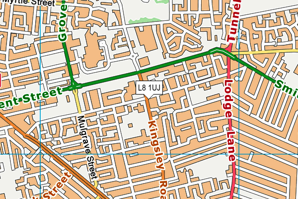 L8 1UJ map - OS VectorMap District (Ordnance Survey)