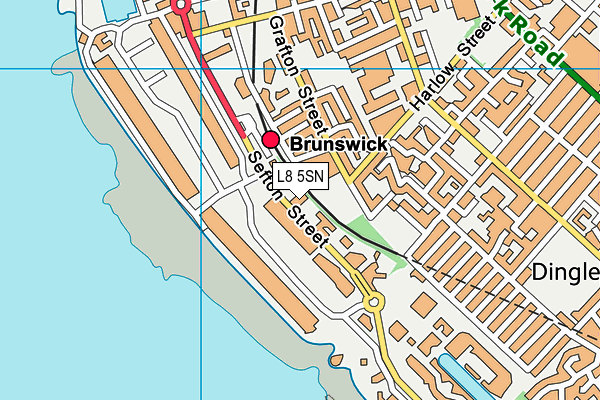 Puregym (Liverpool Brunswick) map (L8 5SN) - OS VectorMap District (Ordnance Survey)