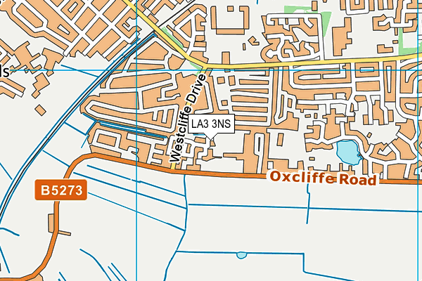 LA3 3NS map - OS VectorMap District (Ordnance Survey)