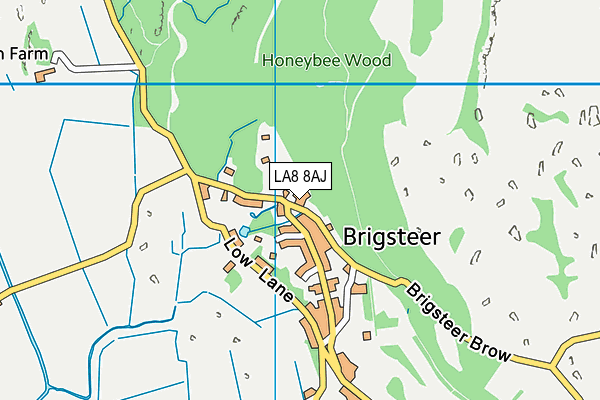 LA8 8AJ map - OS VectorMap District (Ordnance Survey)
