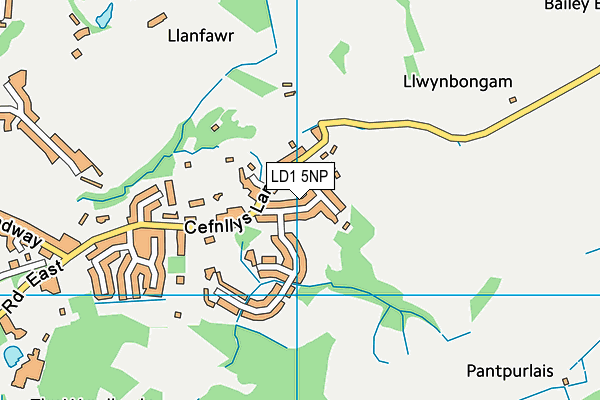 LD1 5NP map - OS VectorMap District (Ordnance Survey)