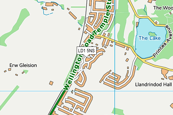 LD1 5NS map - OS VectorMap District (Ordnance Survey)
