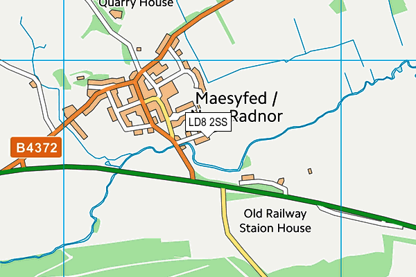 Radnor Valley C.P. School map (LD8 2SS) - OS VectorMap District (Ordnance Survey)