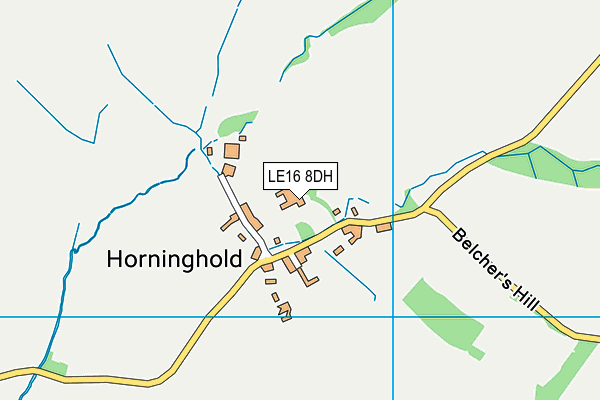 LE16 8DH map - OS VectorMap District (Ordnance Survey)