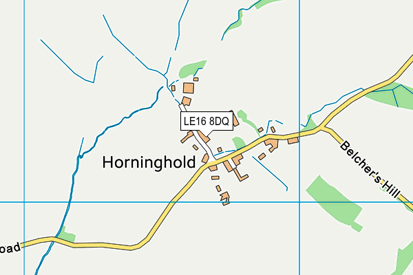 LE16 8DQ map - OS VectorMap District (Ordnance Survey)