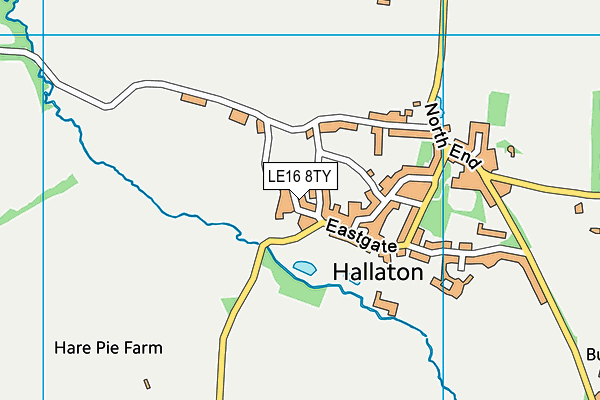 Hallaton Church of England Primary School map (LE16 8TY) - OS VectorMap District (Ordnance Survey)
