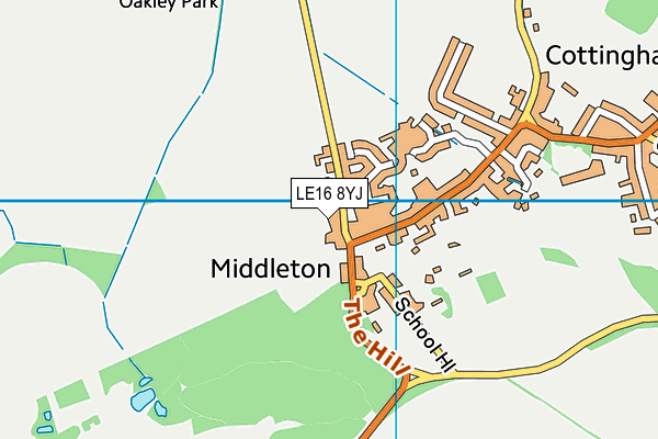 LE16 8YJ map - OS VectorMap District (Ordnance Survey)