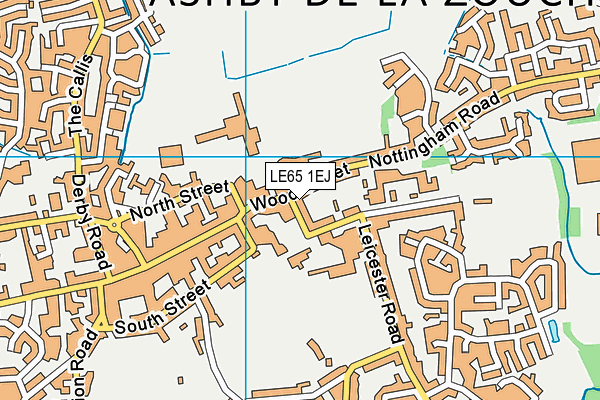 LE65 1EJ map - OS VectorMap District (Ordnance Survey)
