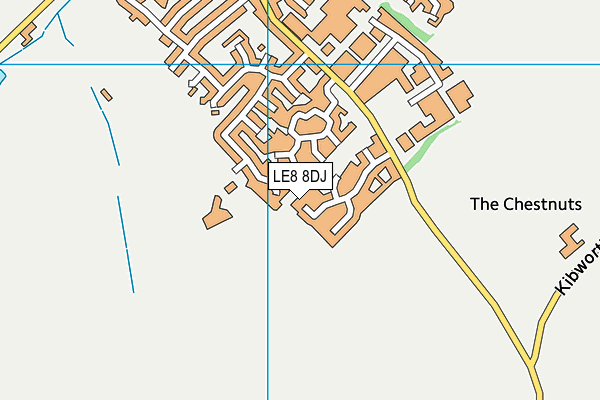 LE8 8DJ map - OS VectorMap District (Ordnance Survey)