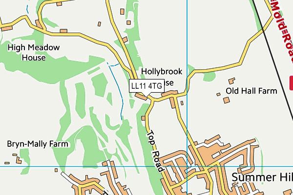 LL11 4TG map - OS VectorMap District (Ordnance Survey)