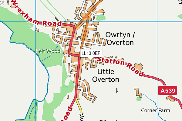 LL13 0EF map - OS VectorMap District (Ordnance Survey)