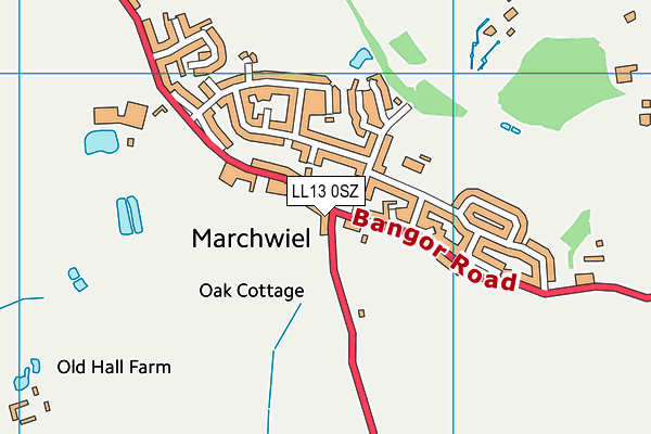 LL13 0SZ map - OS VectorMap District (Ordnance Survey)