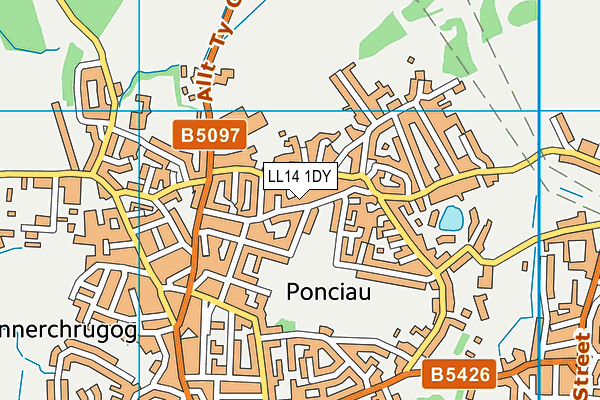 LL14 1DY map - OS VectorMap District (Ordnance Survey)
