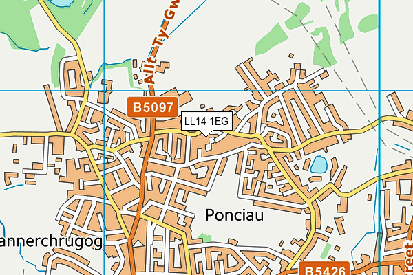 LL14 1EG map - OS VectorMap District (Ordnance Survey)