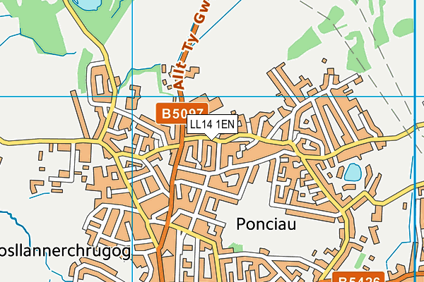 LL14 1EN map - OS VectorMap District (Ordnance Survey)