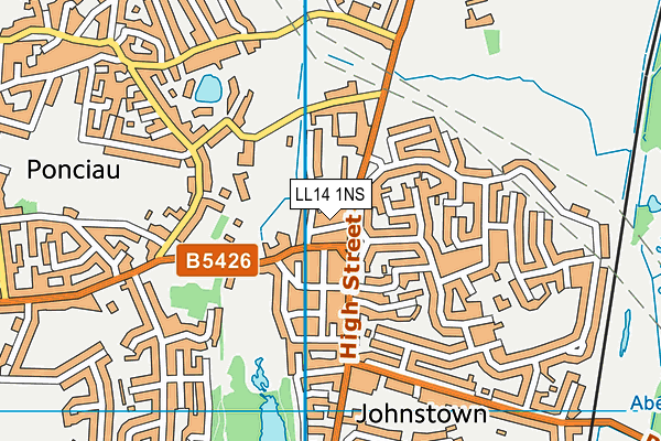 LL14 1NS map - OS VectorMap District (Ordnance Survey)