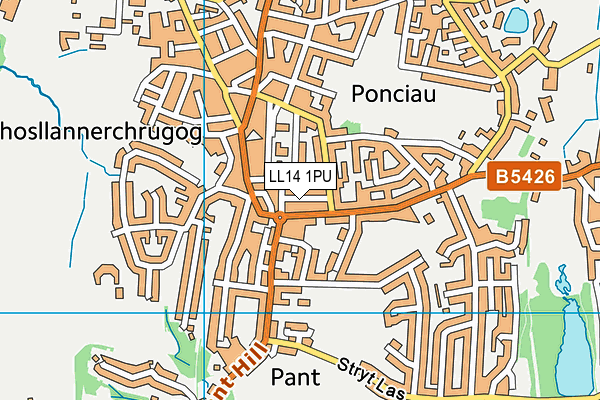 LL14 1PU map - OS VectorMap District (Ordnance Survey)