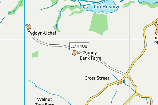 LL14 1UB map - OS VectorMap District (Ordnance Survey)