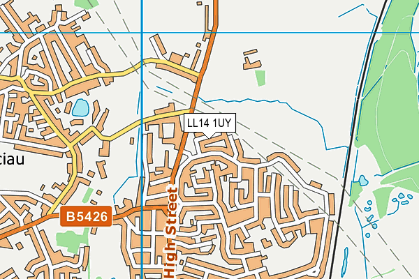 LL14 1UY map - OS VectorMap District (Ordnance Survey)