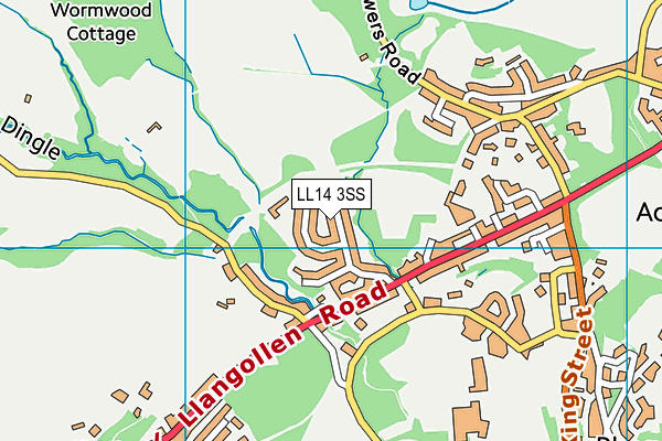 LL14 3SS map - OS VectorMap District (Ordnance Survey)