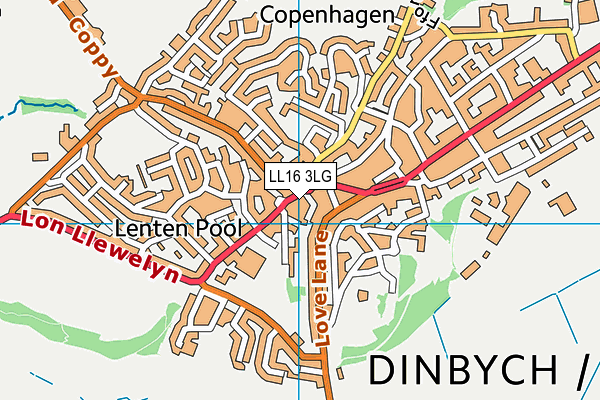LL16 3LG map - OS VectorMap District (Ordnance Survey)