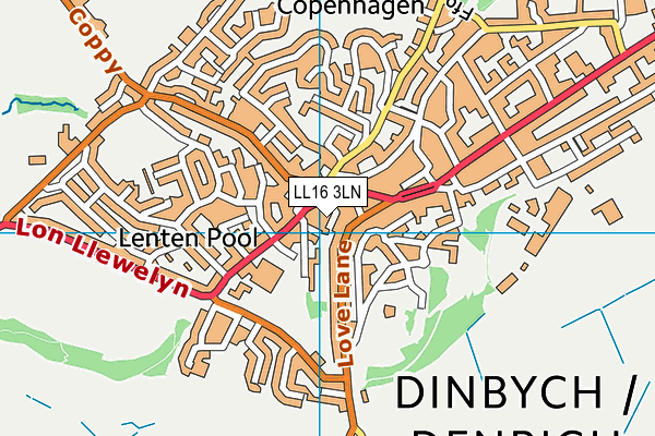 LL16 3LN map - OS VectorMap District (Ordnance Survey)