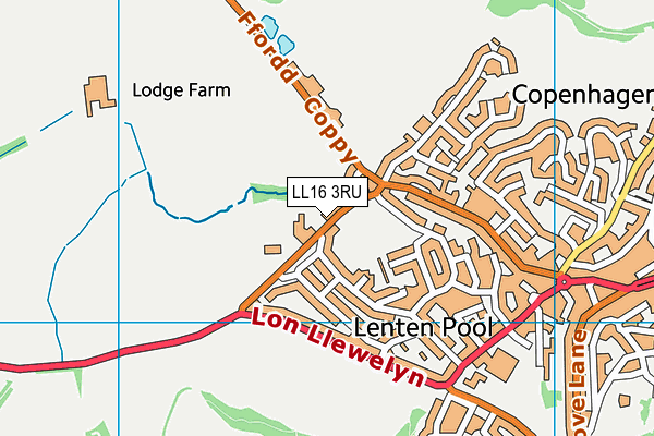 Ysgol Pendref map (LL16 3RU) - OS VectorMap District (Ordnance Survey)