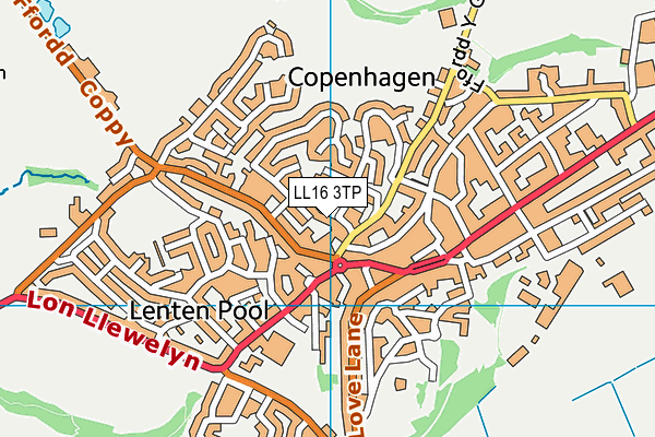 LL16 3TP map - OS VectorMap District (Ordnance Survey)