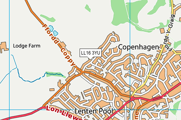 LL16 3YU map - OS VectorMap District (Ordnance Survey)